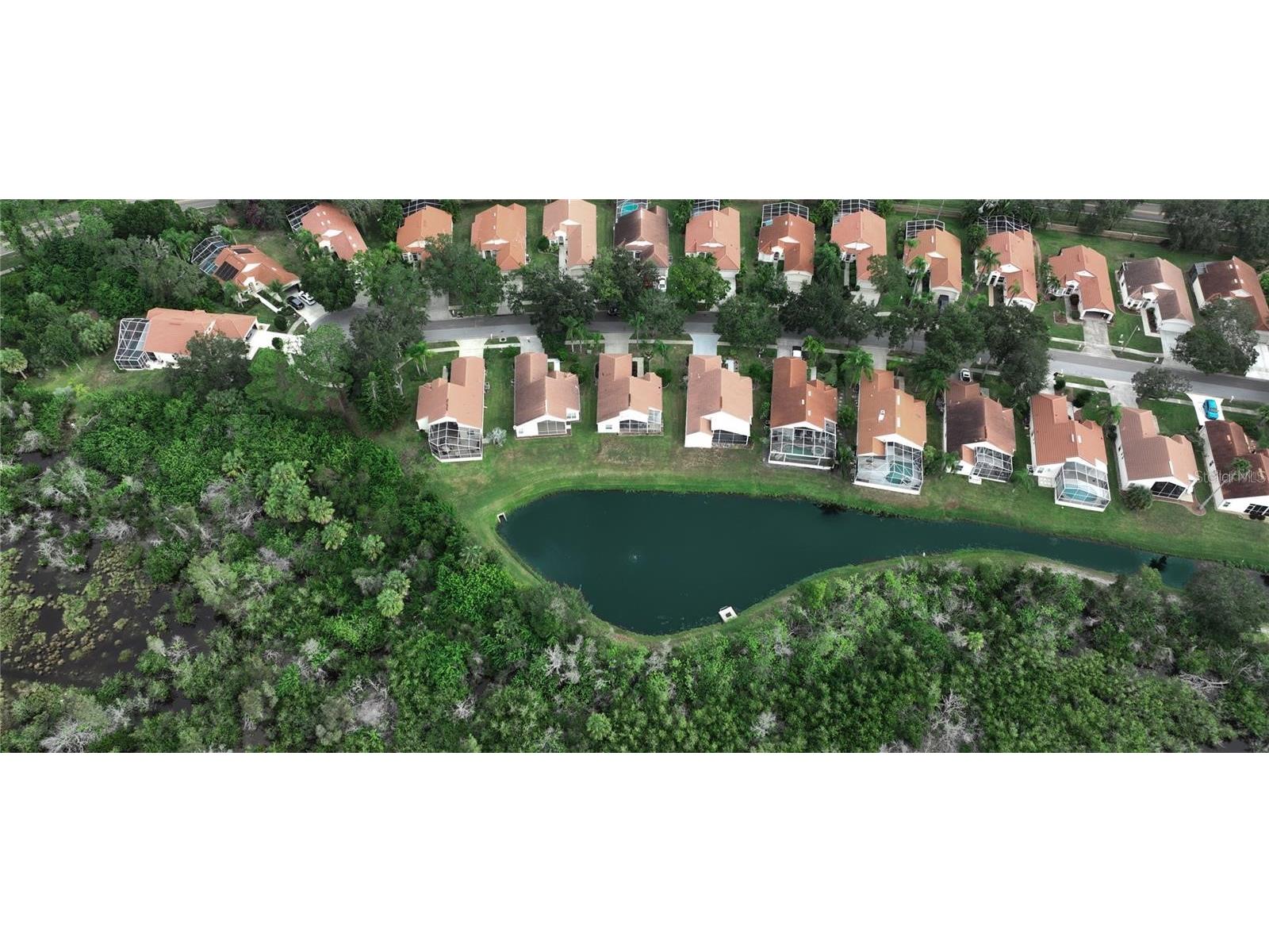 718 Lighthouse Drive Tarpon Springs FL 34689 TB8491702 image30