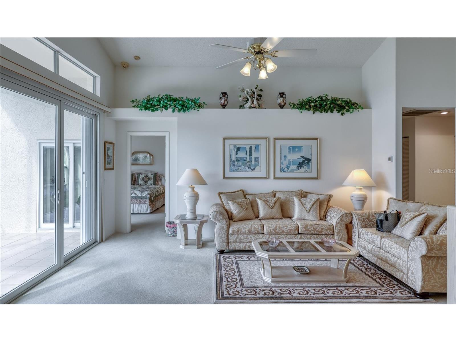718 Lighthouse Drive Tarpon Springs FL 34689 TB8491702 image9