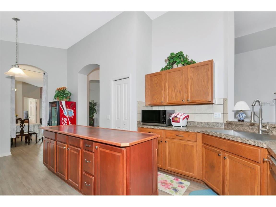 718 Tanana Fall Drive Ruskin FL 33570 A4644527 image11