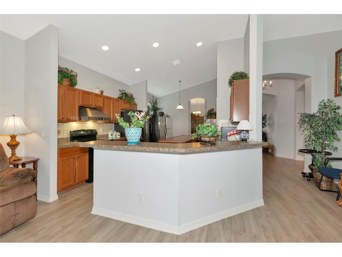 718 Tanana Fall Drive Ruskin FL 33570 A4644527 image12