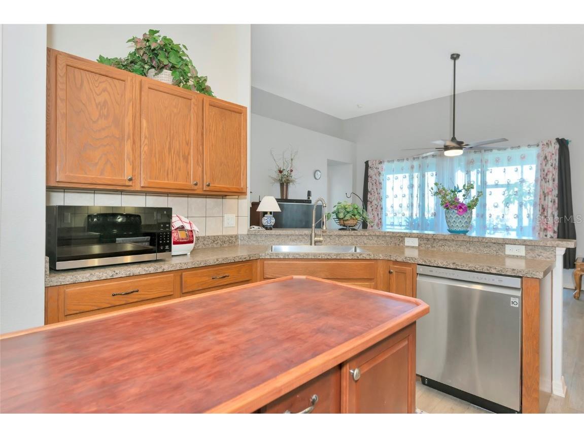 718 Tanana Fall Drive Ruskin FL 33570 A4644527 image9