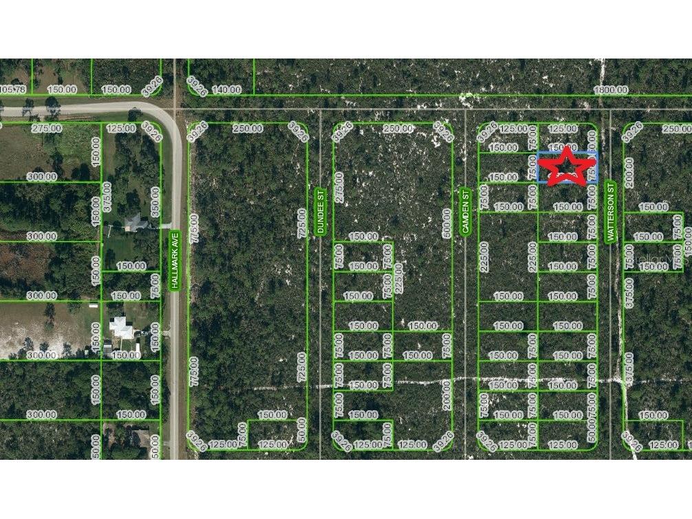 718 Watterson Street Lake Placid FL 33852 C7474091 image1