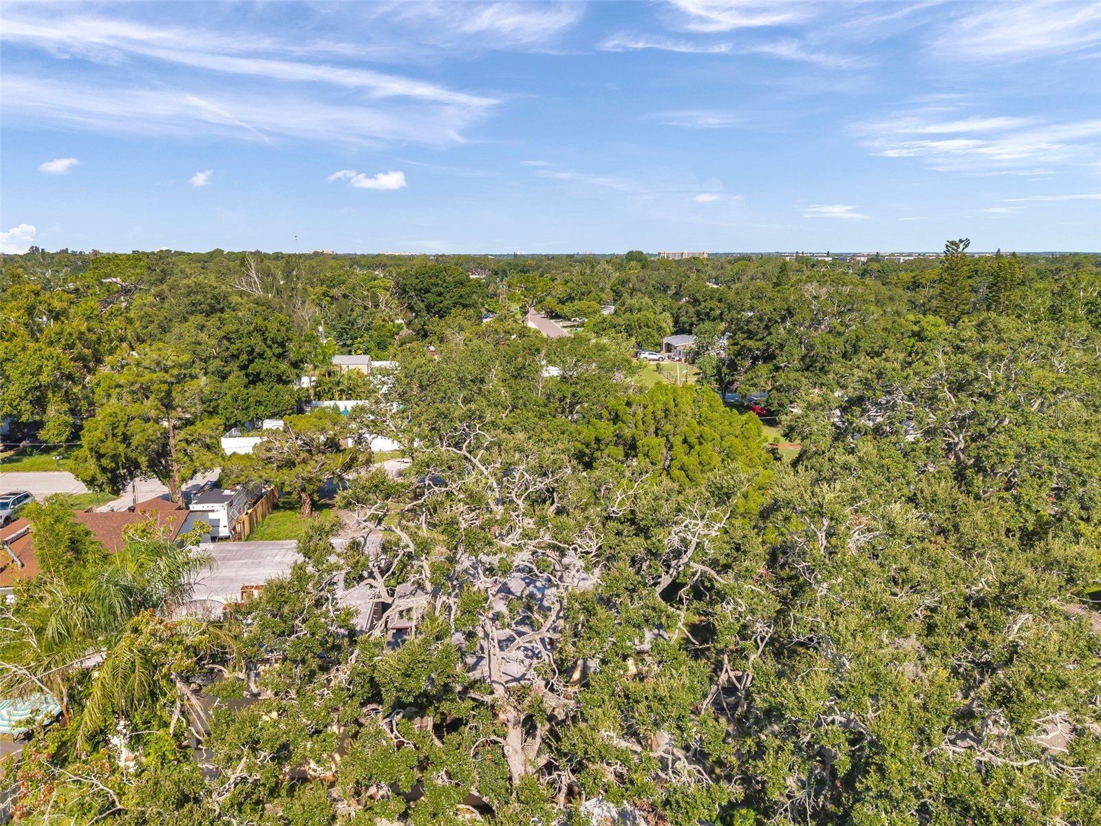7180 50th Avenue N Saint Petersburg FL 33709 TB8513067 image24