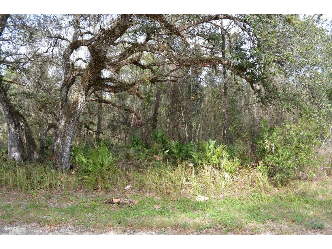 7180 Alloy Street Webster FL 33597 G5090704 image1