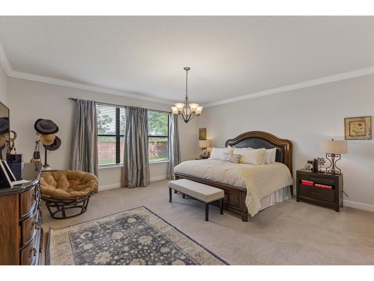 7180 Beek Street Windermere FL 34786 O6393213 image11