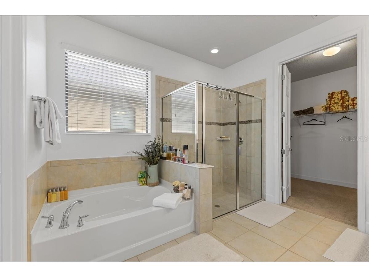 7180 Beek Street Windermere FL 34786 O6393213 image13