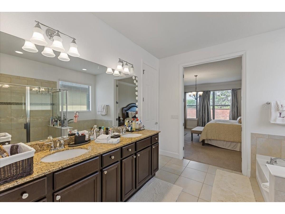 7180 Beek Street Windermere FL 34786 O6393213 image14