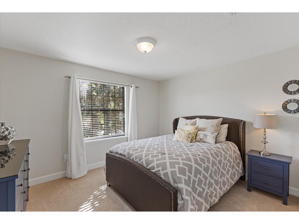 7180 Beek Street Windermere FL 34786 O6393213 image19