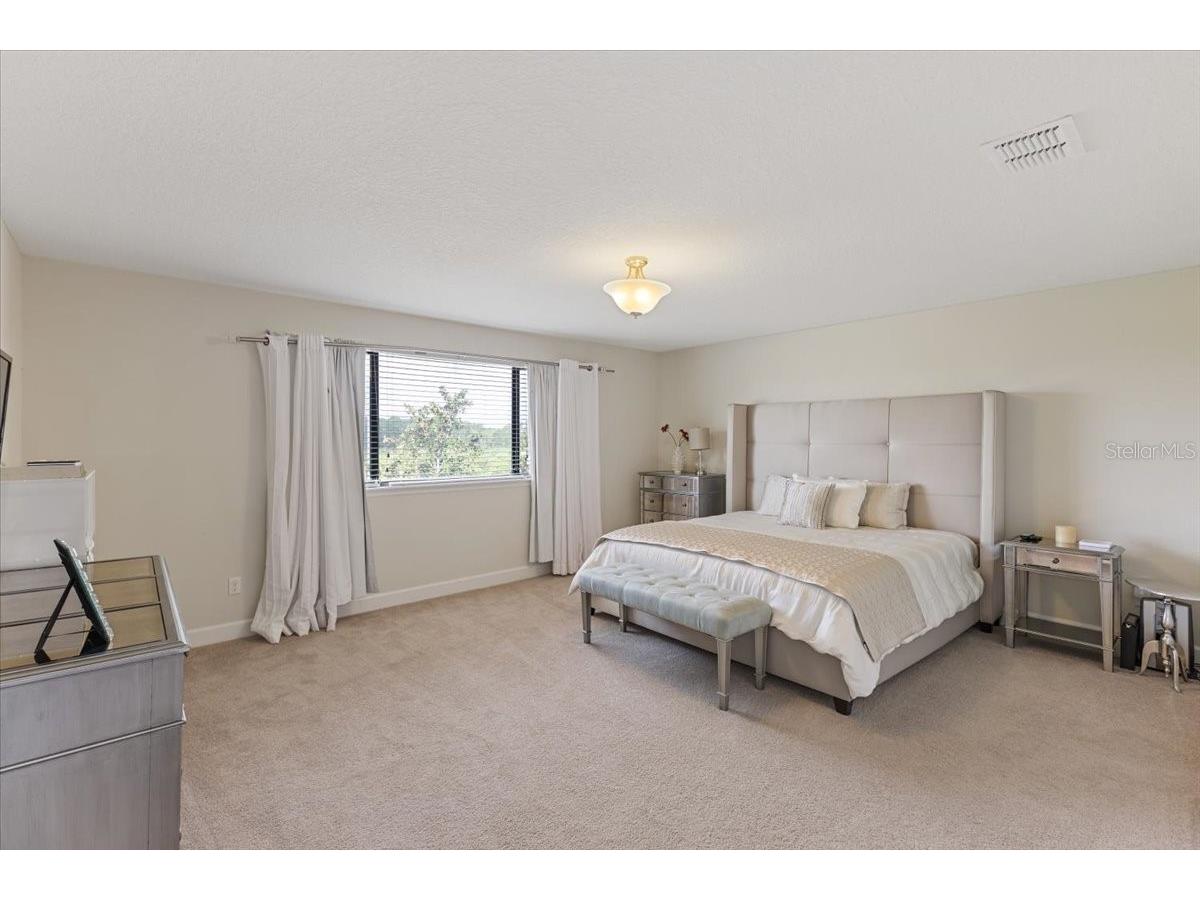7180 Beek Street Windermere FL 34786 O6393213 image23