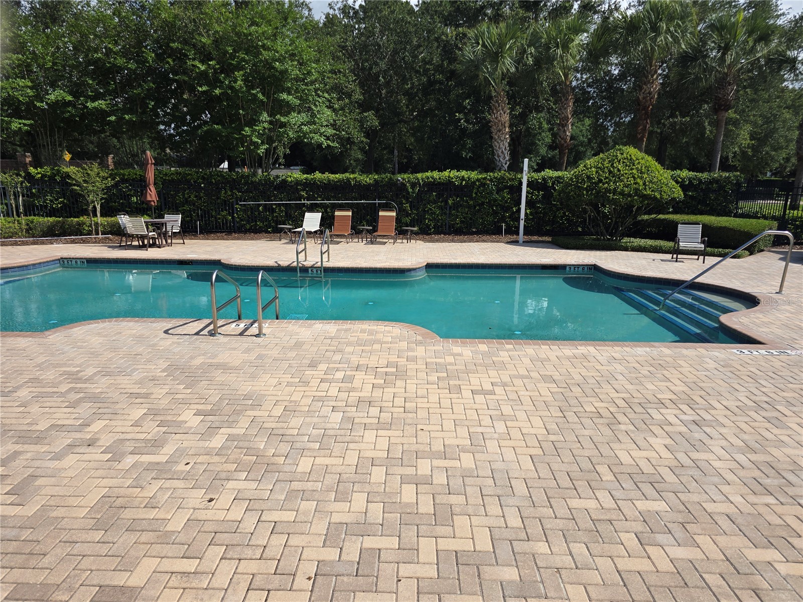 7180 Beek Street Windermere FL 34786 O6393213 image28