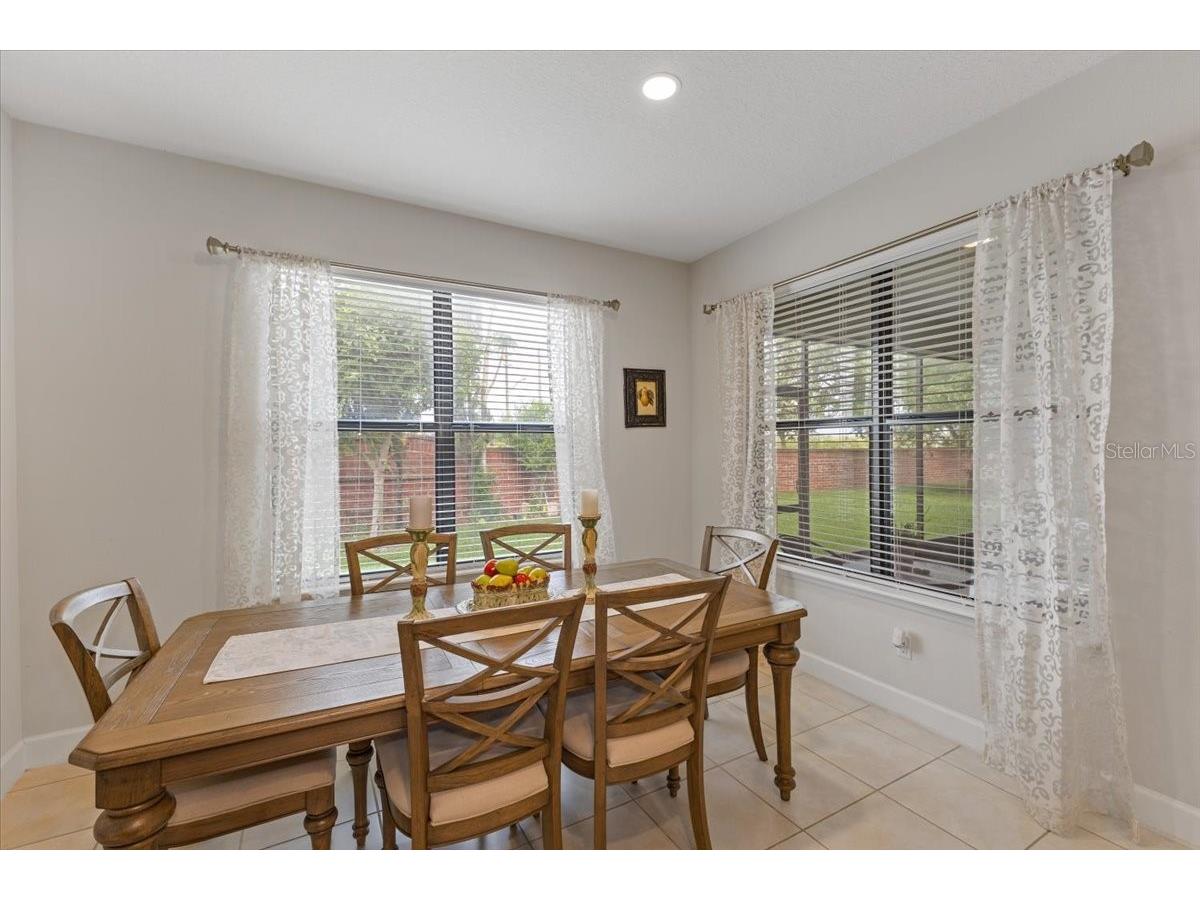 7180 Beek Street Windermere FL 34786 O6393213 image4