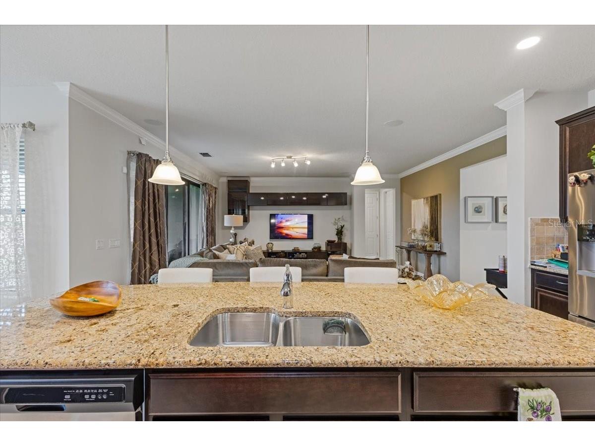 7180 Beek Street Windermere FL 34786 O6393213 image6