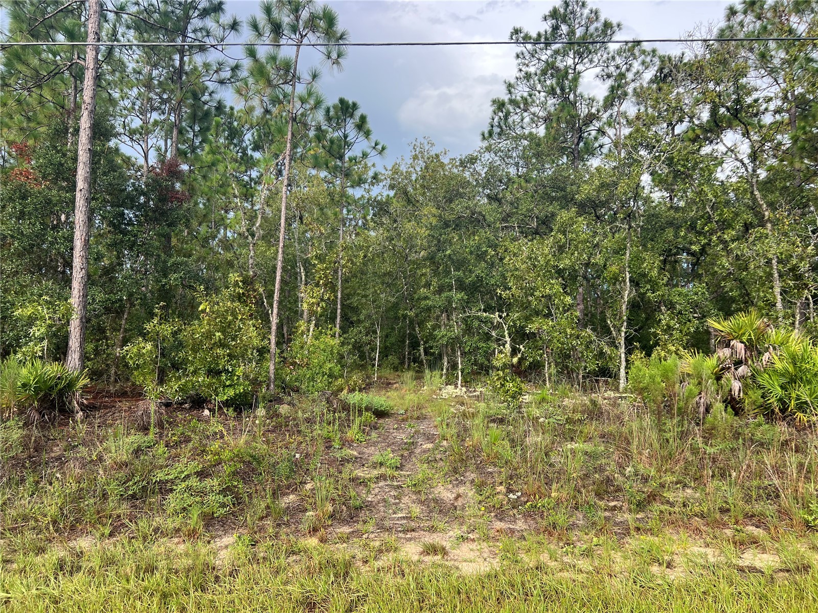 7180 N Henderson Way Dunnellon FL 34434 G5101579 image1
