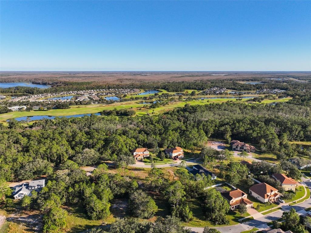 7180 Oak Glen Trl Saint Cloud FL 34773 - CAT LAKE & BUCK LAKE S5115857 image19