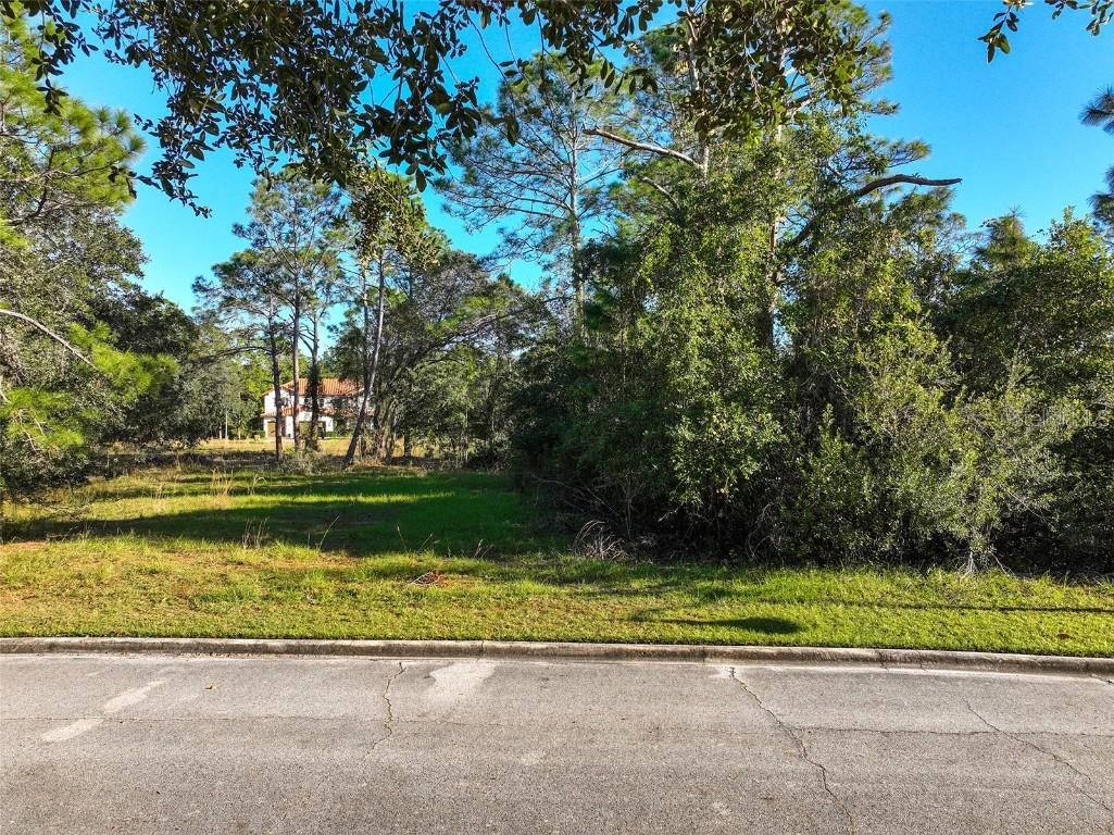 7180 Oak Glen Trl Saint Cloud FL 34773 - CAT LAKE & BUCK LAKE S5115857 image2