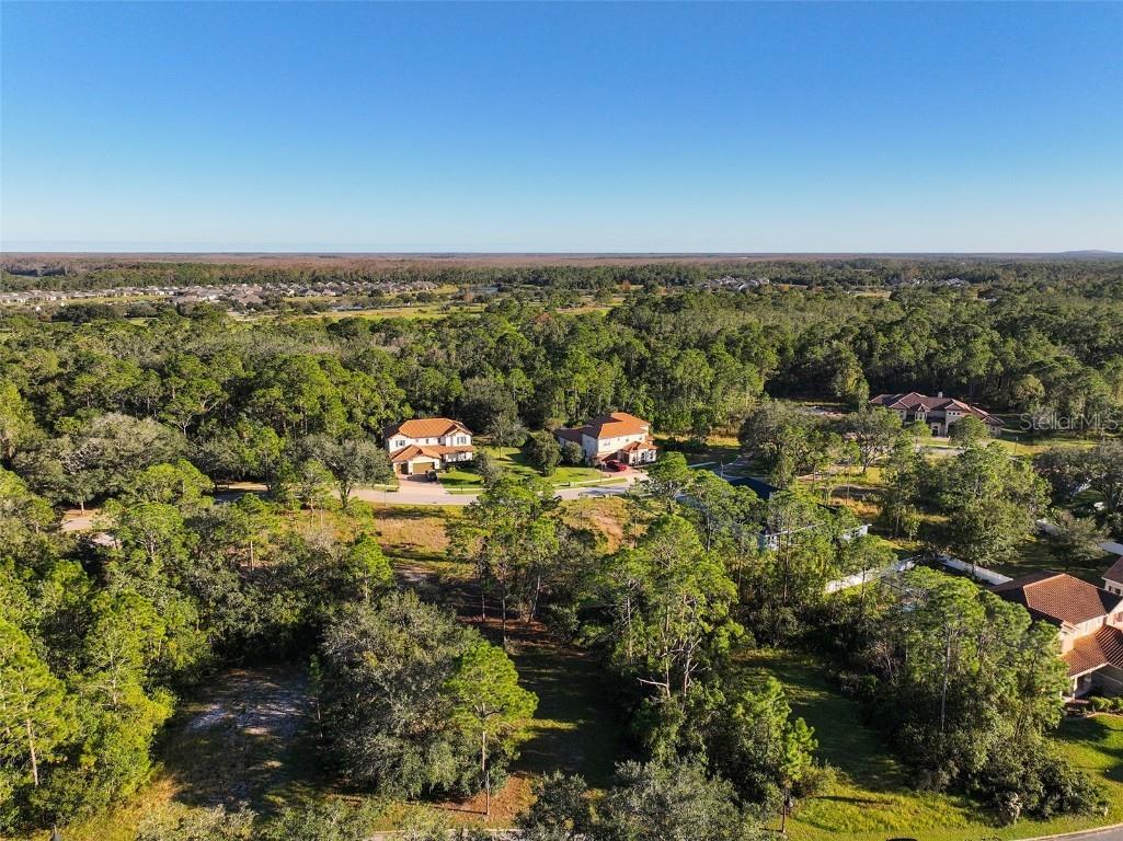 7180 Oak Glen Trl Saint Cloud FL 34773 - CAT LAKE & BUCK LAKE S5115857 image21