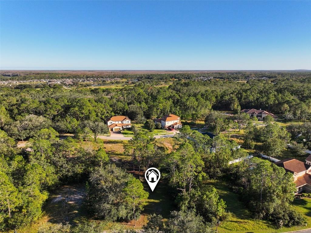7180 Oak Glen Trl Saint Cloud FL 34773 - CAT LAKE & BUCK LAKE S5115857 image22