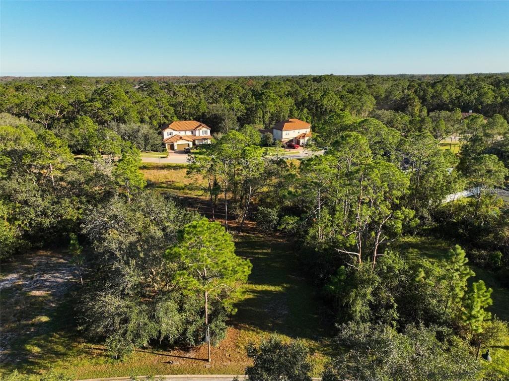 7180 Oak Glen Trl Saint Cloud FL 34773 - CAT LAKE & BUCK LAKE S5115857 image3