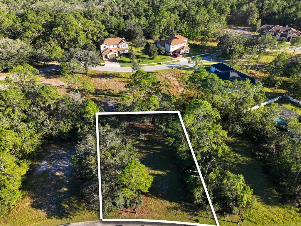 7180 Oak Glen Trl Saint Cloud FL 34773 - CAT LAKE & BUCK LAKE S5115857 image4