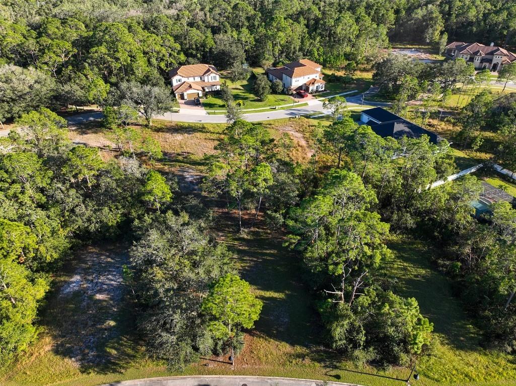 7180 Oak Glen Trl Saint Cloud FL 34773 - CAT LAKE & BUCK LAKE S5115857 image5