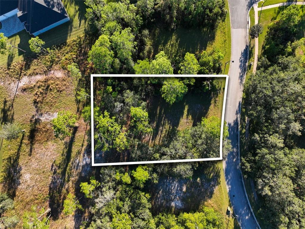 7180 Oak Glen Trl Saint Cloud FL 34773 - CAT LAKE & BUCK LAKE S5115857 image6