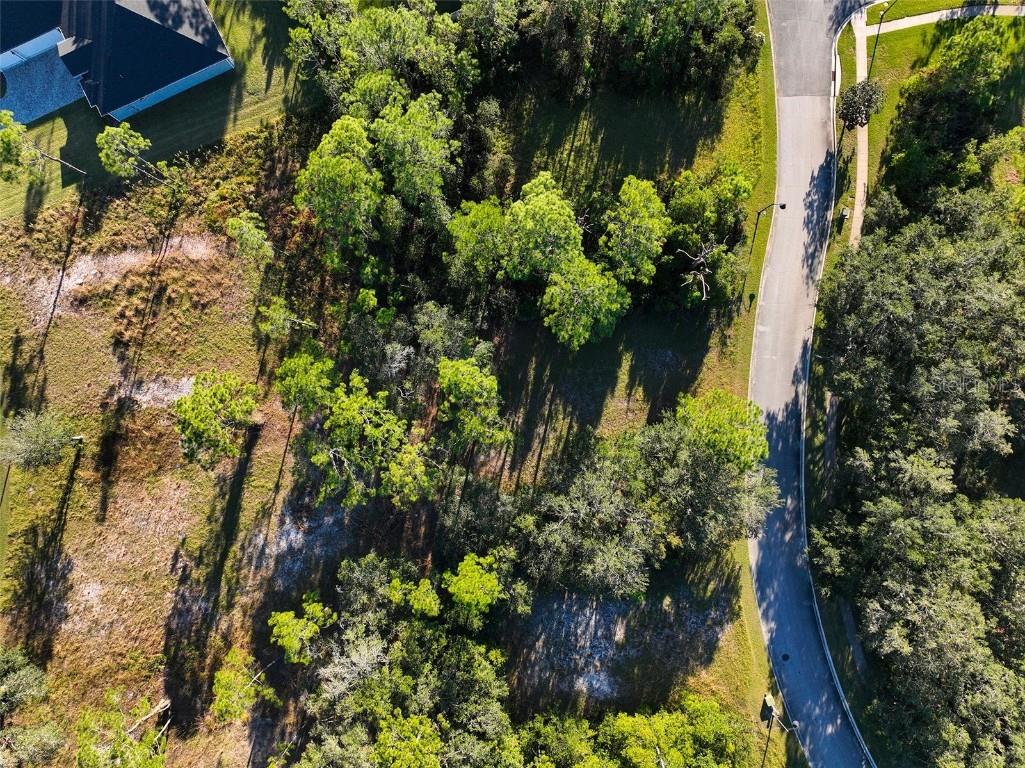 7180 Oak Glen Trl Saint Cloud FL 34773 - CAT LAKE & BUCK LAKE S5115857 image7