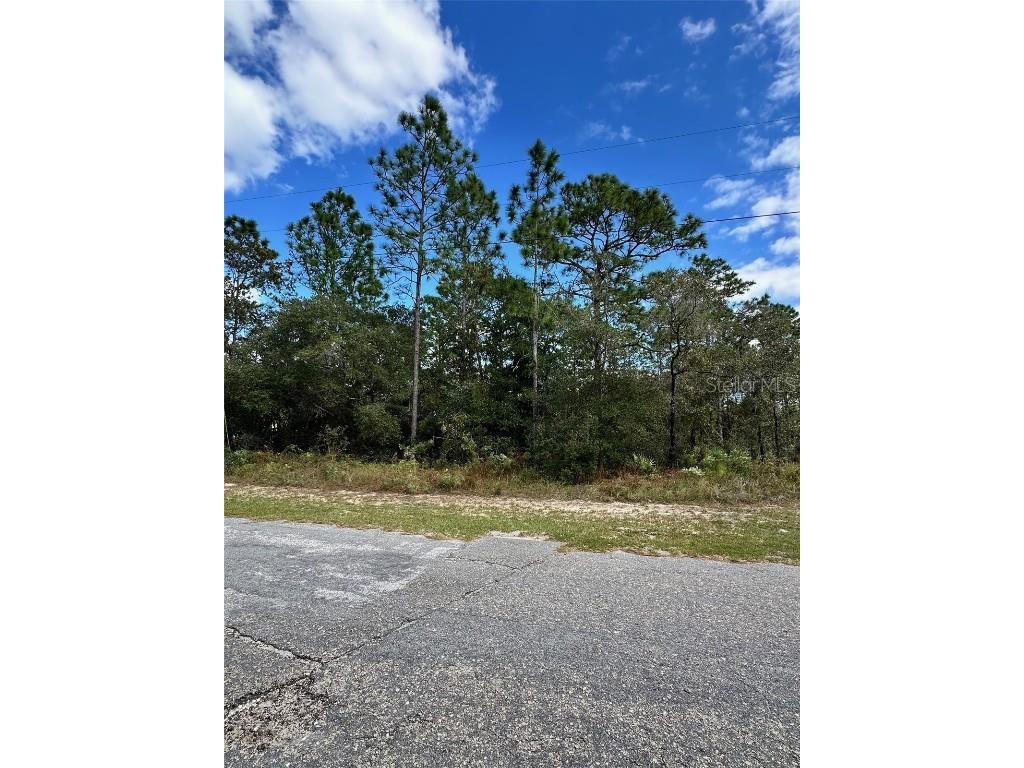 7181 N Regent Terrace Citrus Springs FL 34433 W7876355 image2