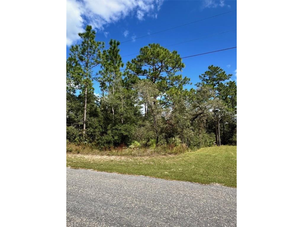 7181 N Regent Terrace Citrus Springs FL 34433 W7876355 image3