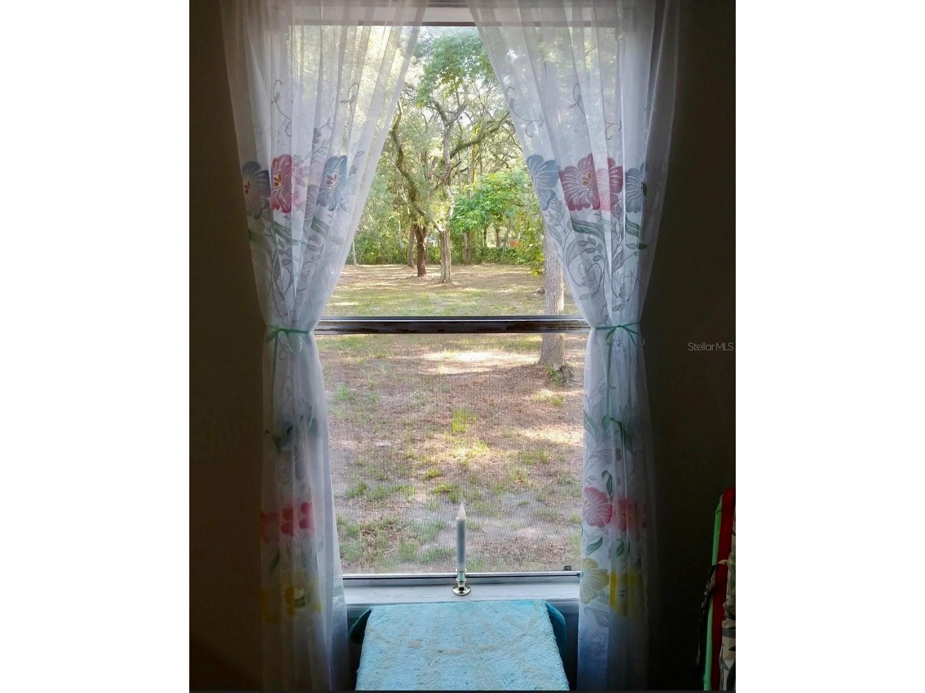 7181 NW 167th Place Trenton FL 32693 GC541295 image20