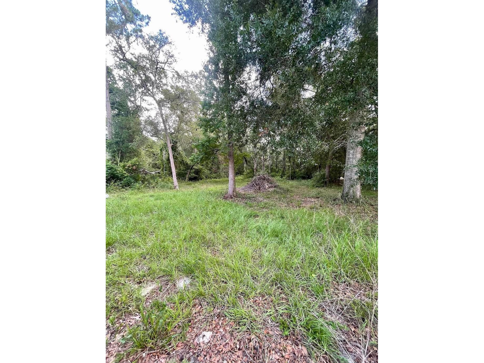 7181 NW 167th Place Trenton FL 32693 GC541295 image25