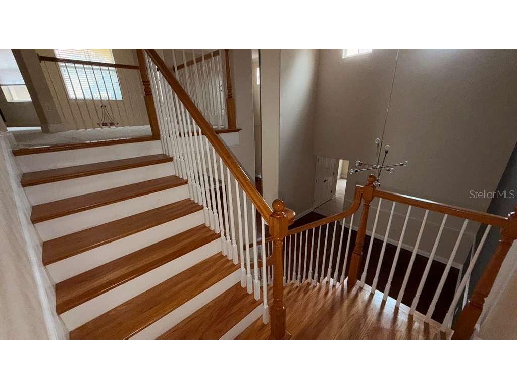 7181 Regina Way Orlando FL 32819 O6389884 image13