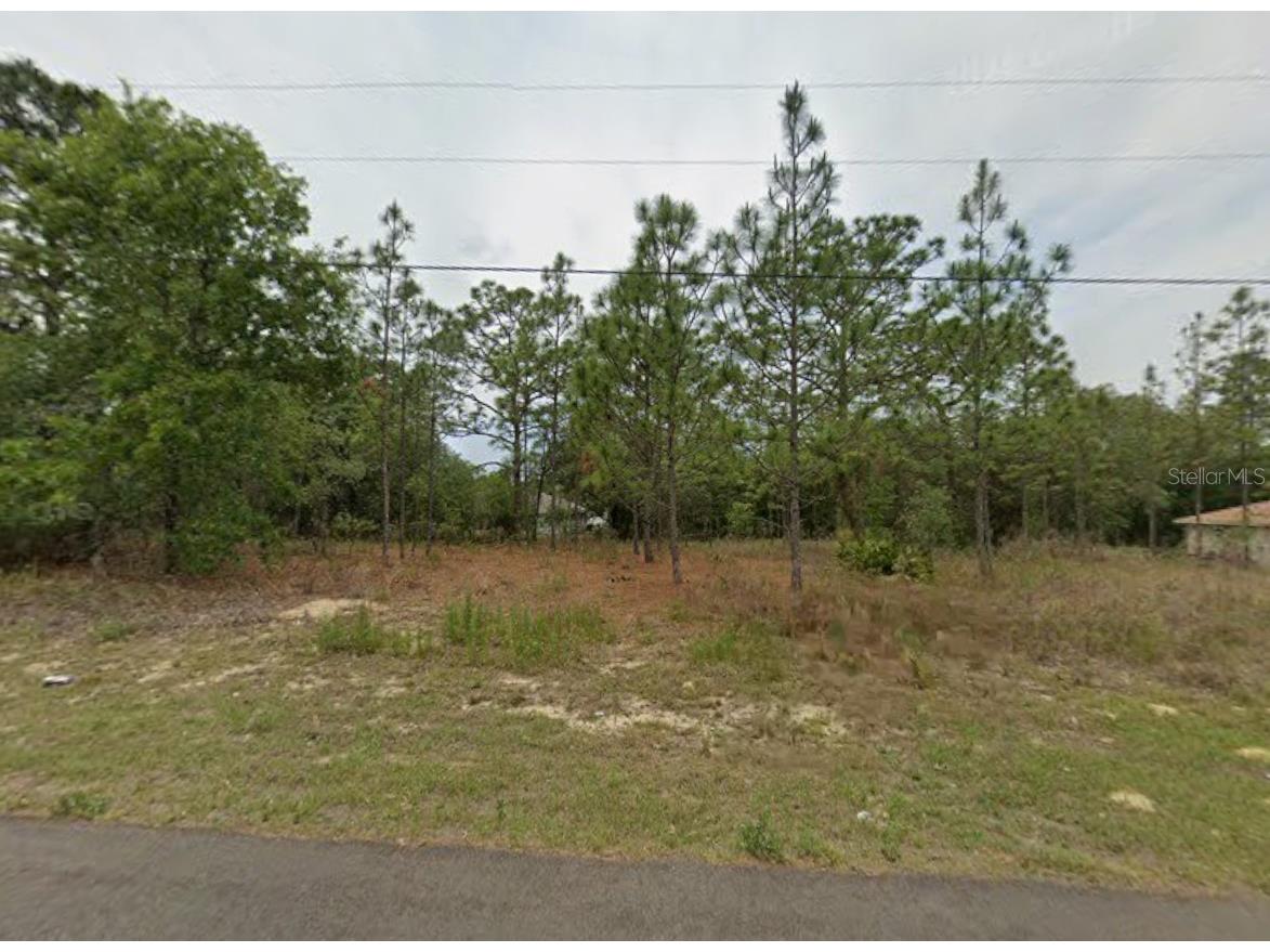 7182 N Fairchild Terrace Dunnellon FL 34434 A4686196 image3