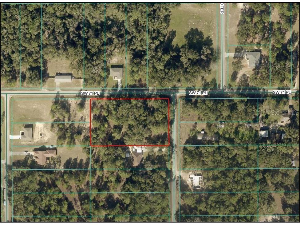 7182 SW 201st Avenue Dunnellon FL 34431 OM717405 image2