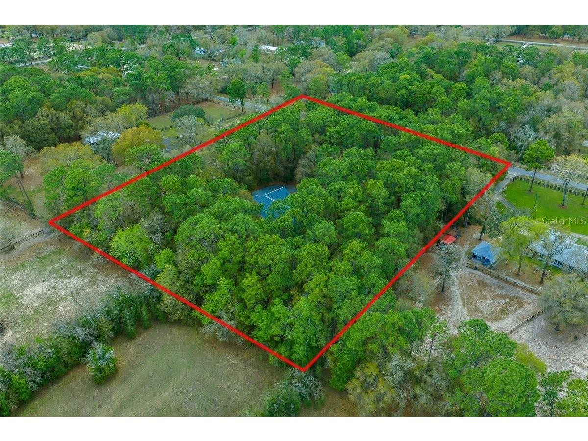 7184 NW 8th Place Ocala FL 34482 OM720343 image22