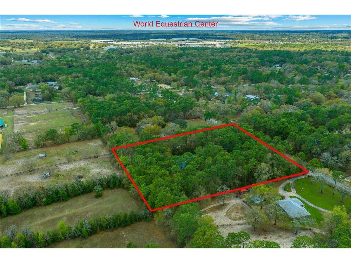 7184 NW 8th Place Ocala FL 34482 OM720343 image23