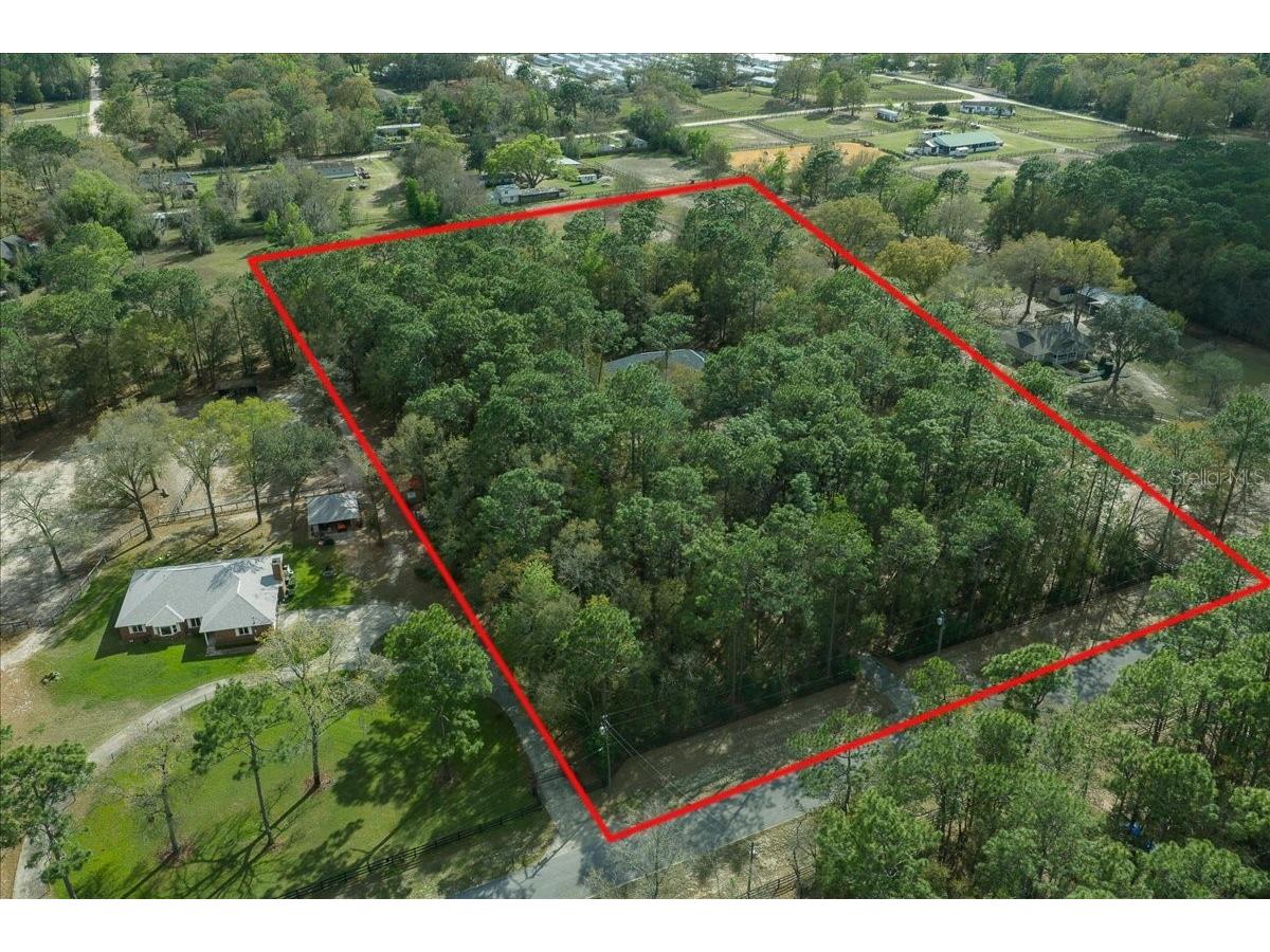 7184 NW 8th Place Ocala FL 34482 OM720343 image24