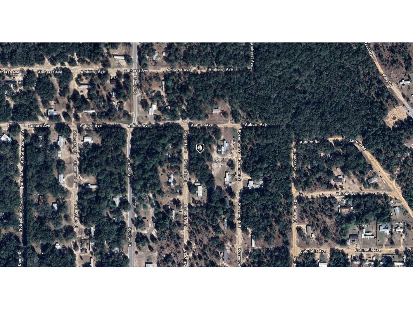 7185 Radcliffe Street Keystone Heights FL 32656 A4669625 image2