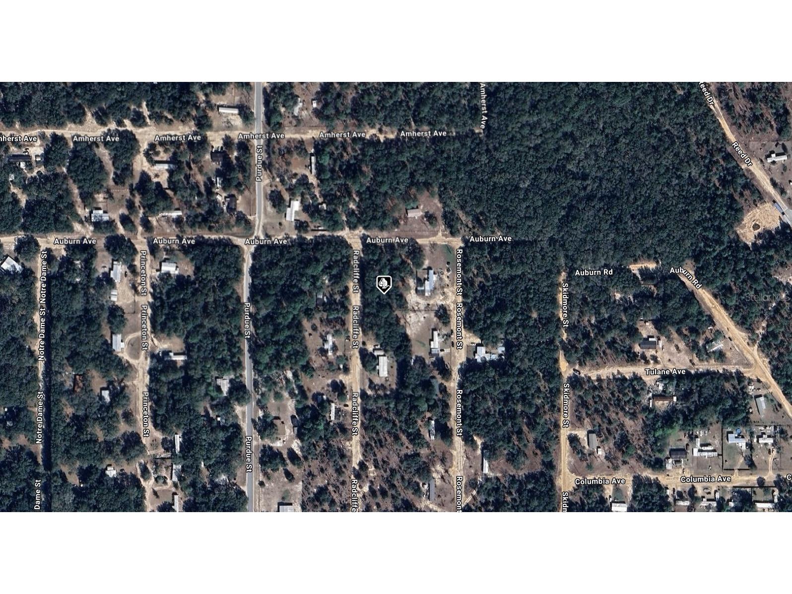 7185 Radcliffe Street Keystone Heights FL 32656 A4686565 image2