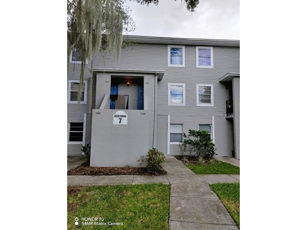 7186 E Bank Drive #7186 Tampa FL 33617 T3481436 image1