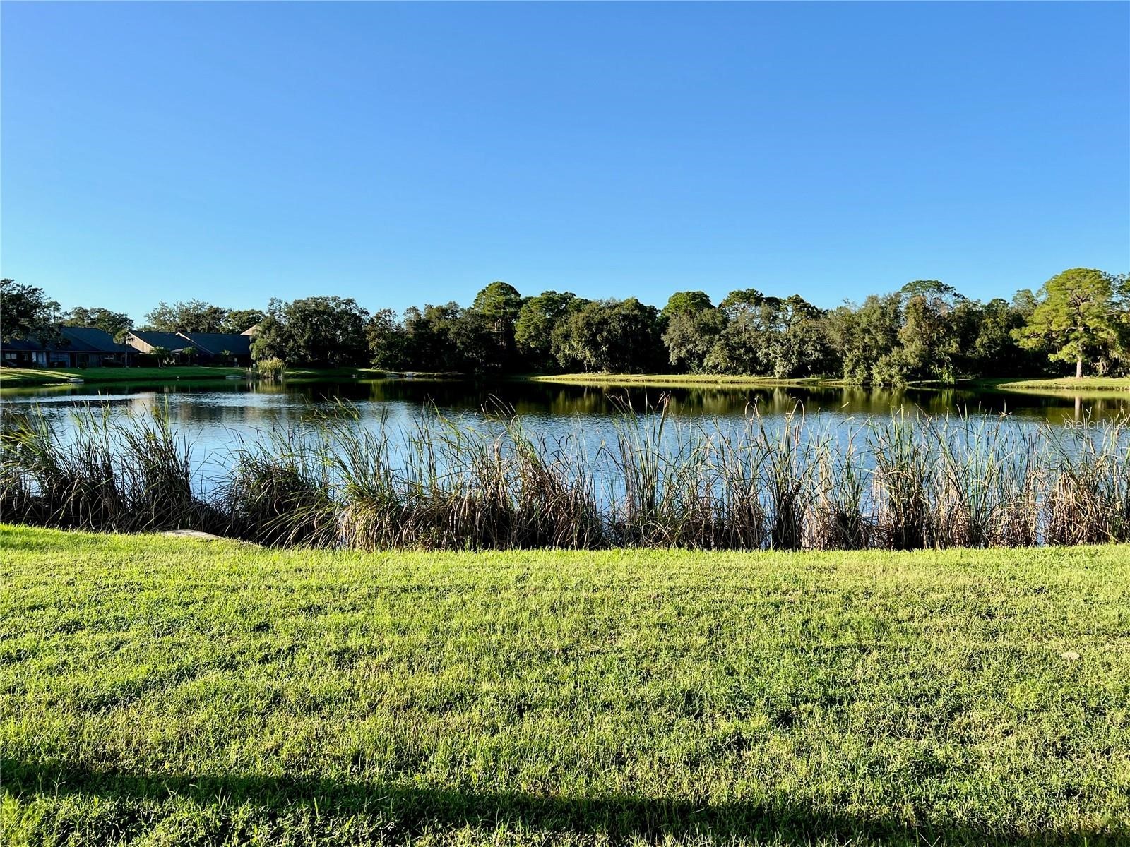 7186 Lakeside Drive Sarasota FL 34243 A4695284 image20