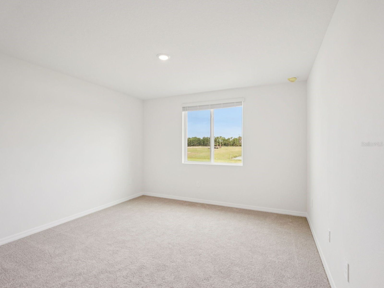 7187 Ray Creek Drive Brooksville FL 34601 O6377593 image15