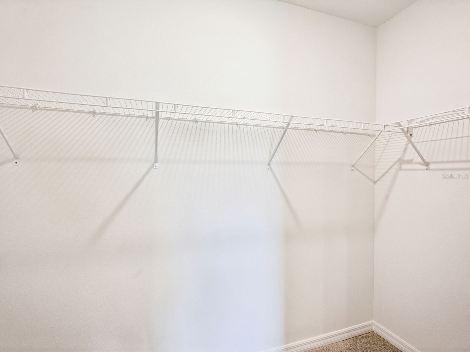 7187 Ray Creek Drive Brooksville FL 34601 O6377593 image17