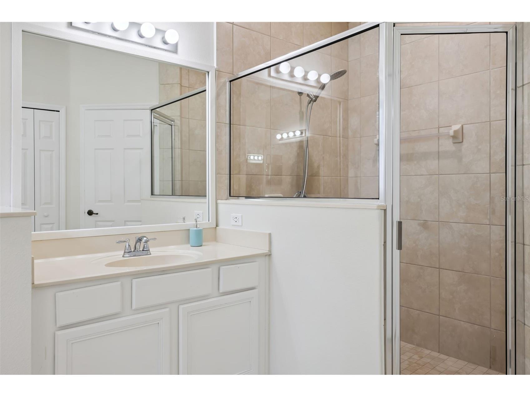 7187 Wild Strawberry Run Winter Garden FL 34787 O6403837 image32