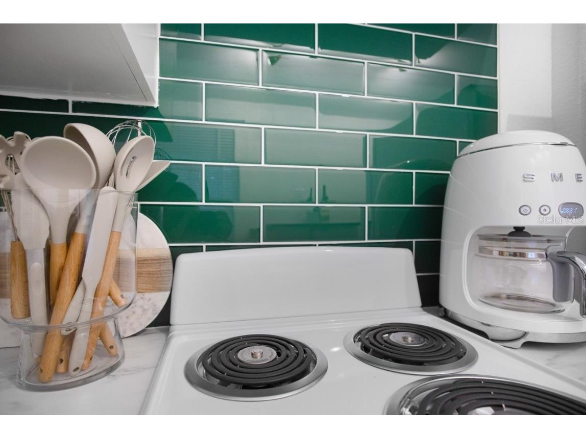 719 8th Street N Saint Petersburg FL 33701 TB8421754 image24