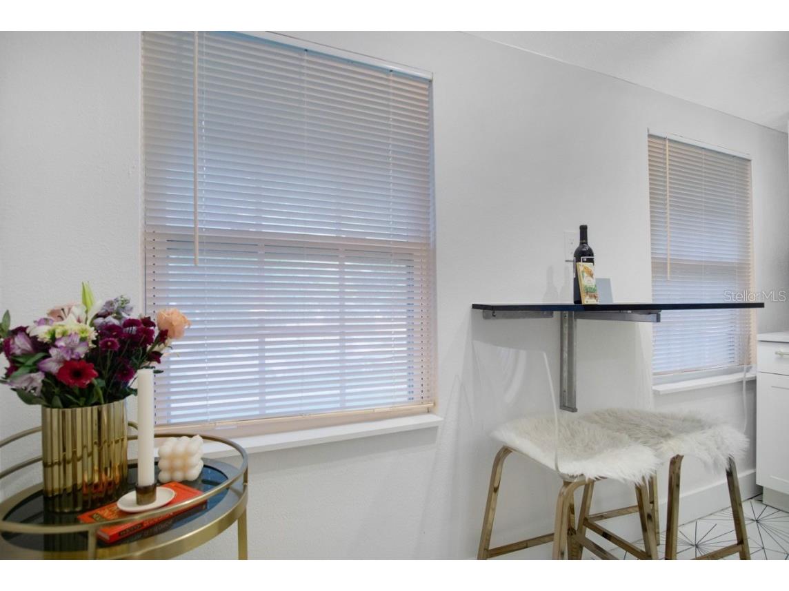 719 8th Street N Saint Petersburg FL 33701 TB8421754 image34