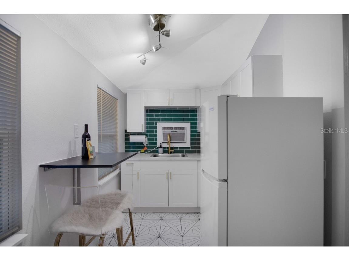 719 8th Street N Saint Petersburg FL 33701 TB8422624 image21