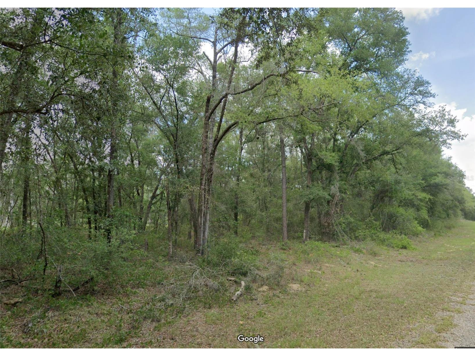 719 E Byrd Loop Dunnellon FL 34434 OM725338 image1