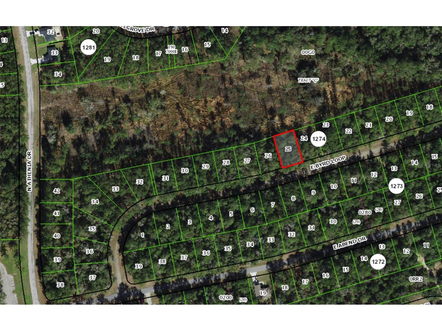 719 E Byrd Loop Dunnellon FL 34434 OM725338 image5