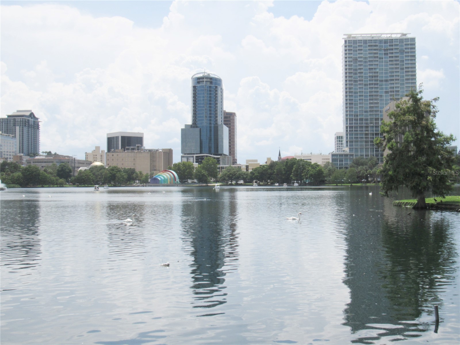 719 Mount Vernon Street #8 Orlando FL 32803 O6374663 image21