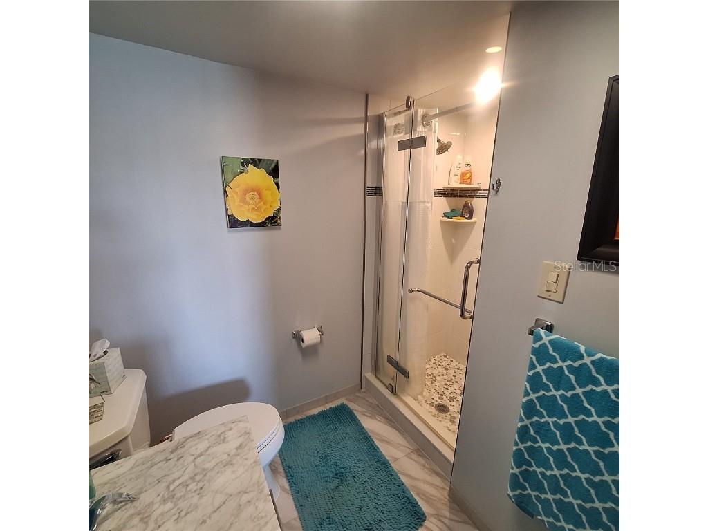 719 Pinellas Bayway S #203 Tierra Verde FL 33715 TB8409070 image15